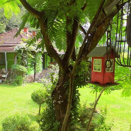 Etno-Kuca "Leka" Klisura Villa Despotovac Dış mekan fotoğraf
