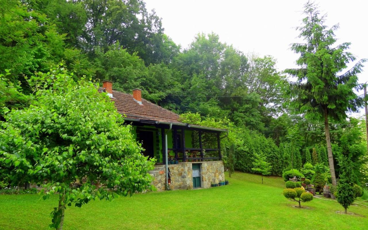 Etno-Kuca "Leka" Klisura Villa Despotovac Dış mekan fotoğraf