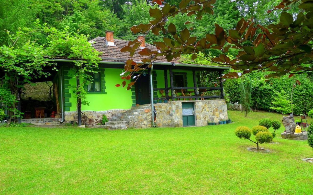 Etno-Kuca "Leka" Klisura Villa Despotovac Dış mekan fotoğraf