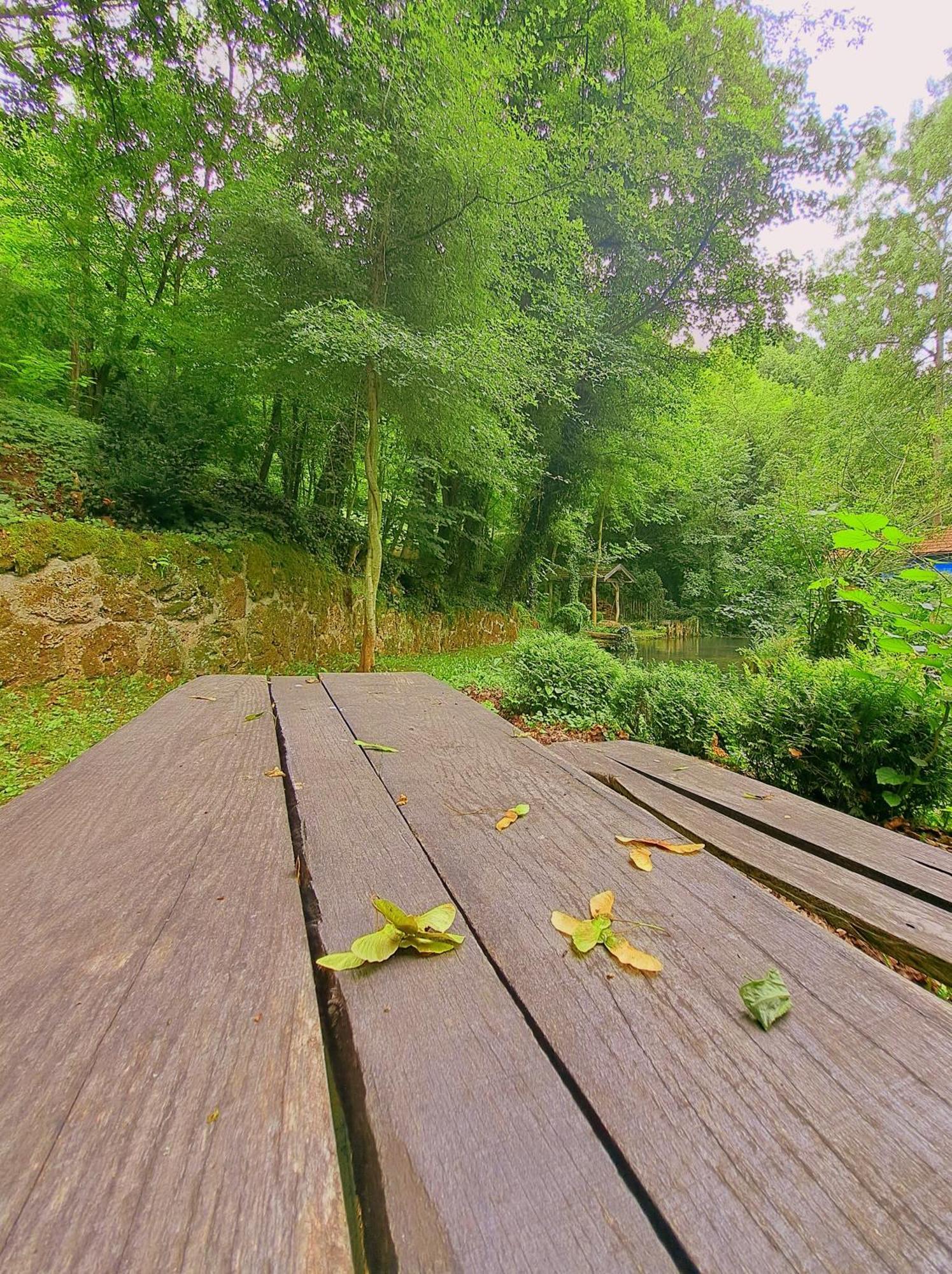 Etno-Kuca "Leka" Klisura Villa Despotovac Dış mekan fotoğraf
