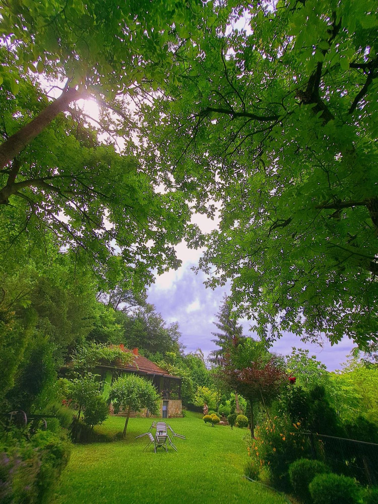 Etno-Kuca "Leka" Klisura Villa Despotovac Dış mekan fotoğraf