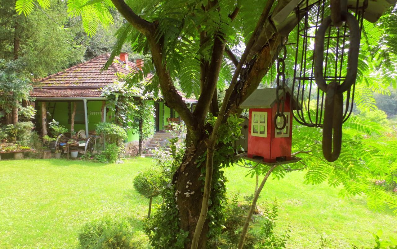 Etno-Kuca "Leka" Klisura Villa Despotovac Dış mekan fotoğraf
