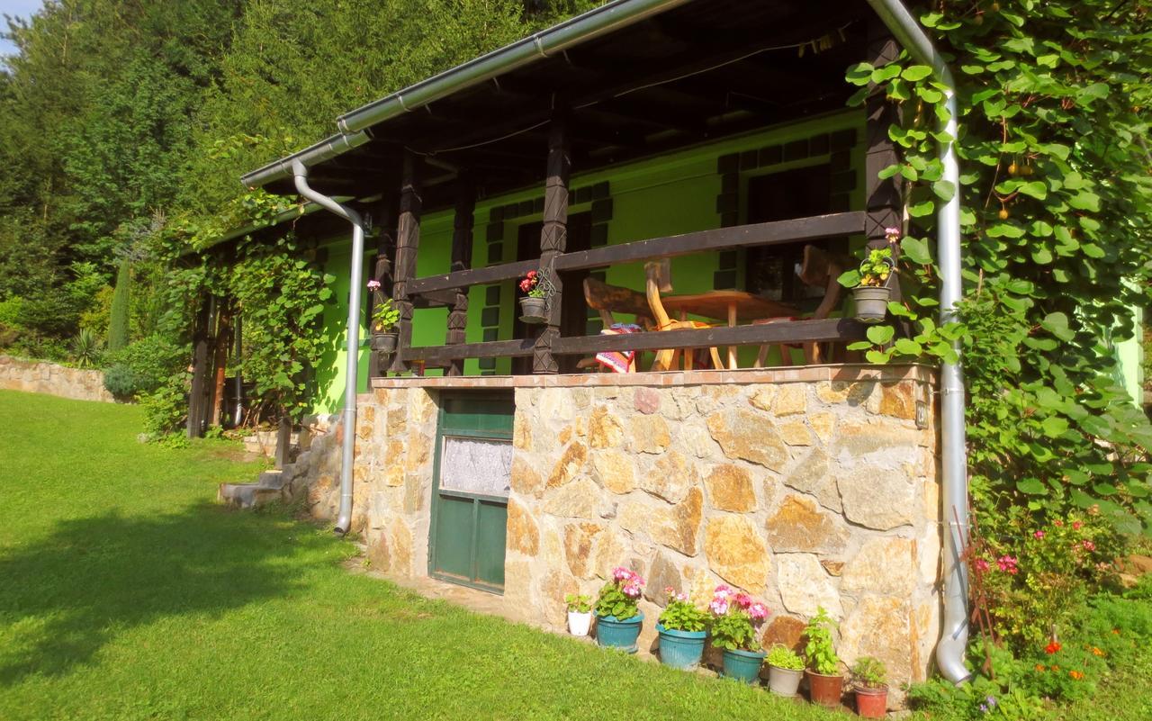 Etno-Kuca "Leka" Klisura Villa Despotovac Dış mekan fotoğraf
