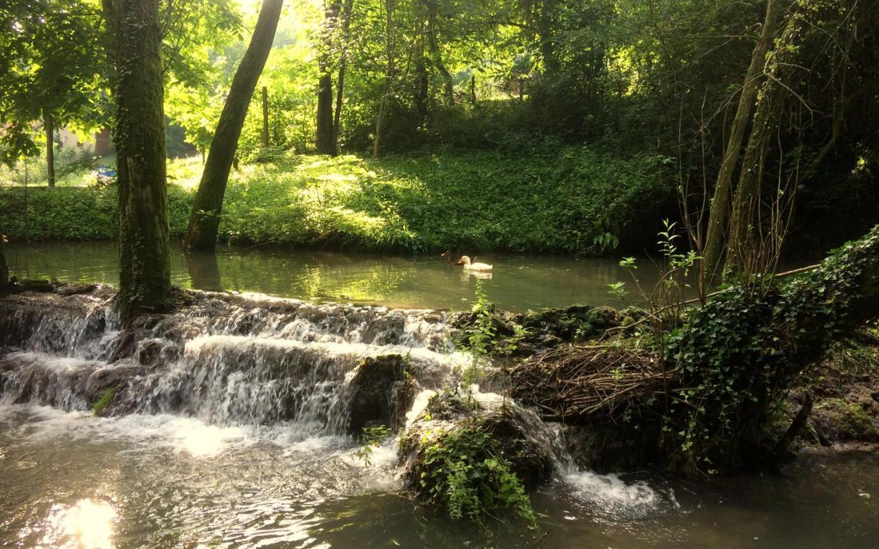 Etno-Kuca "Leka" Klisura Villa Despotovac Dış mekan fotoğraf