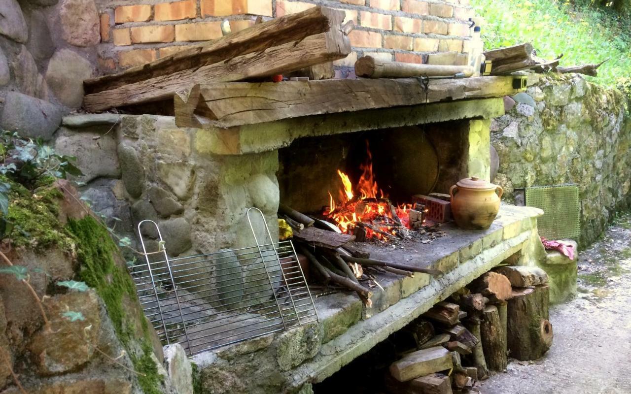 Etno-Kuca "Leka" Klisura Villa Despotovac Dış mekan fotoğraf