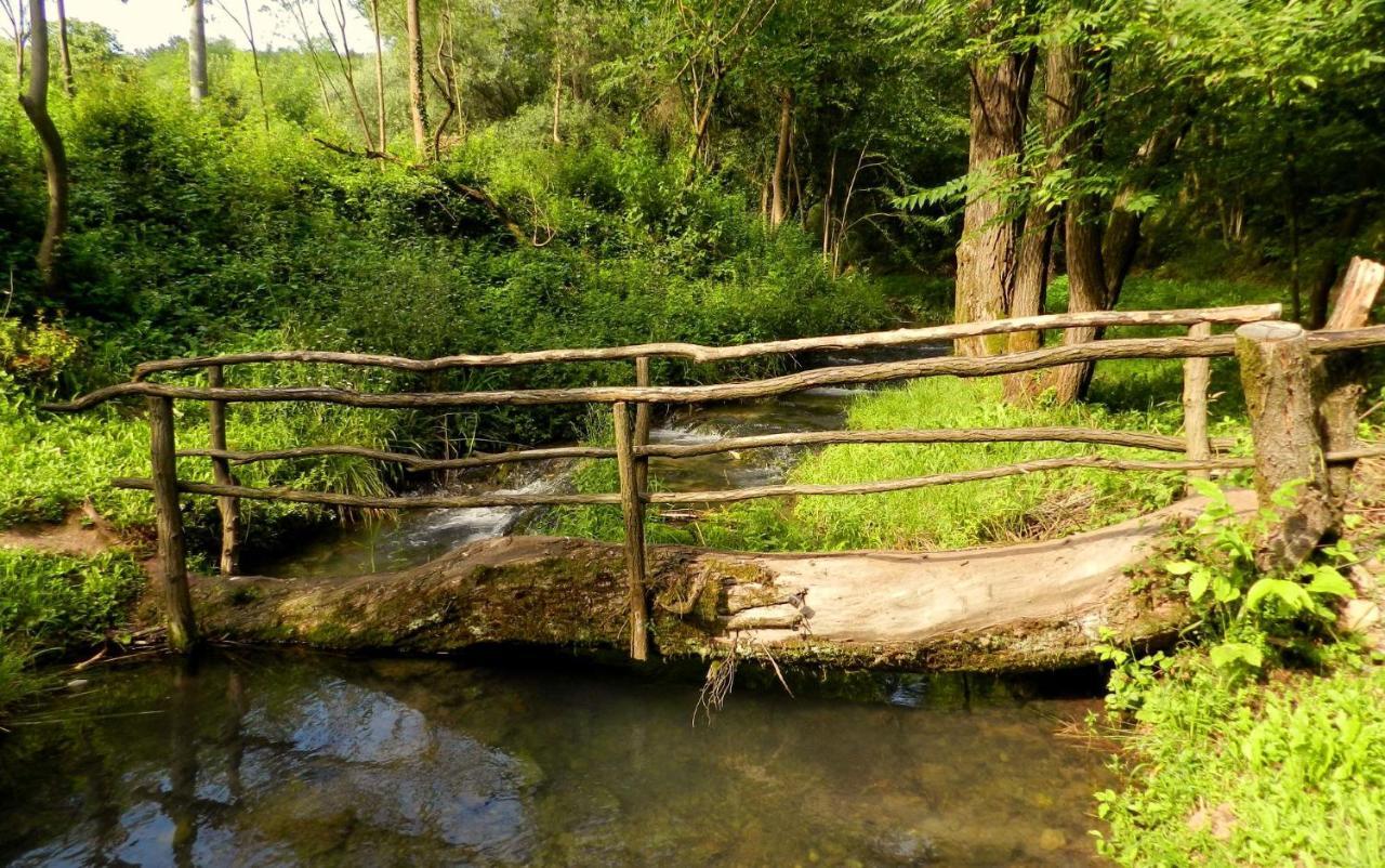 Etno-Kuca "Leka" Klisura Villa Despotovac Dış mekan fotoğraf